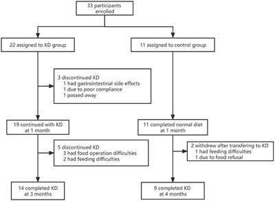 Efficacy and Safety of the Ketogenic Diet for Mitochondrial Disease With Epilepsy: A Prospective, Open-labeled, Controlled Study